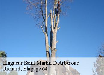 Elagueur  saint-martin-d-arberoue-64640 Richard, Elagage 64