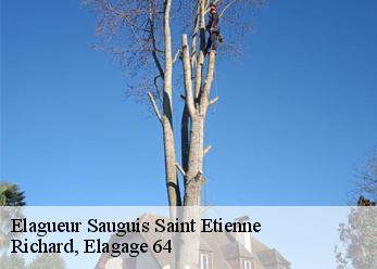 Elagueur  sauguis-saint-etienne-64470 Richard, Elagage 64