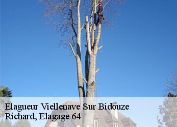 Elagueur viellenave-sur-bidouze-64270 Richard, Elagage 64