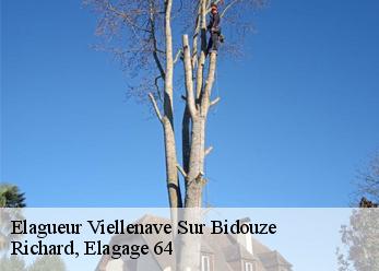 Elagueur  viellenave-sur-bidouze-64270 Richard, Elagage 64