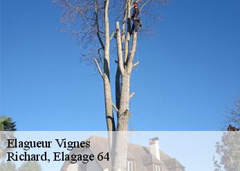 Elagueur vignes-64410 Richard, Elagage 64