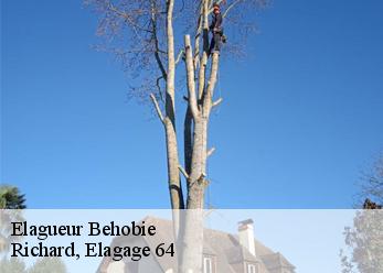 Elagueur behobie-64700 Richard, Elagage 64