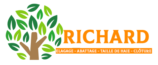 RICHARD Cliff Elagage 64